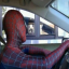 Chauffeur Spider-Man