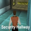 Security Hallway