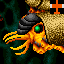 Mollusca Cephalopoda