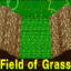 Field of Grass - Sudden Death