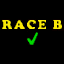Race B winner