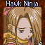 Hawk Ninja