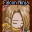 Falcon Ninja