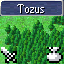 Area Completionist: Tozus