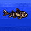 Horned Shark