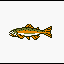 Yellow-Fin Trout