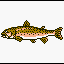 Indian Salmon