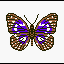 Purple Butterfly