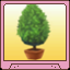 [Item] Decorative Plant