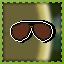 Present: Sunglasses
