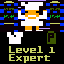 Level 1 Expert