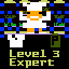 Level 3 Expert