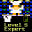 Level 5 Expert