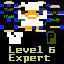 Level 6 Expert