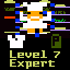 Level 7 Expert