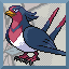 Swellow