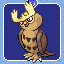 Noctowl