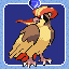 Pidgeot