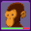 Moogoo Monkey expert