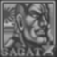 Beat the game as Sagat on level 8 difficulty