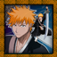 Survival - Secret Ichigo