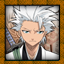 Hitsugaya Mastered