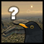 Blackbird vs. Raven