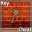 [Misc] Cheat: Race Key