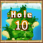 Island 6 Hole 10