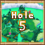 Island 5 Hole 5