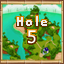 Island 4 Hole 5