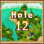 Island 4 Hole 12