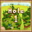 Island 2 Hole 1