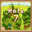 Island 2 Hole 7