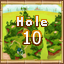 Island 2 Hole 10