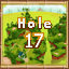 Island 2 Hole 17