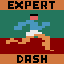 Expert Dash