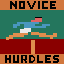 Novice Hurdles