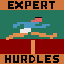 Expert Hurdles