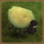 Ovine Speedster