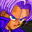 Trunks