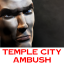 Temple City Ambush Professionally