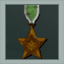 The Bronze Star