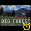 Big Forest Time Trial