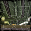 Just Deserts - Carmageddon