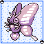 Venomoth