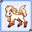 Ponyta