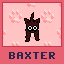 Baxstreet Barker