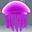 King Jellyfish