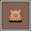 Everywhere There's Lots of Piggies Living Piggy Lives